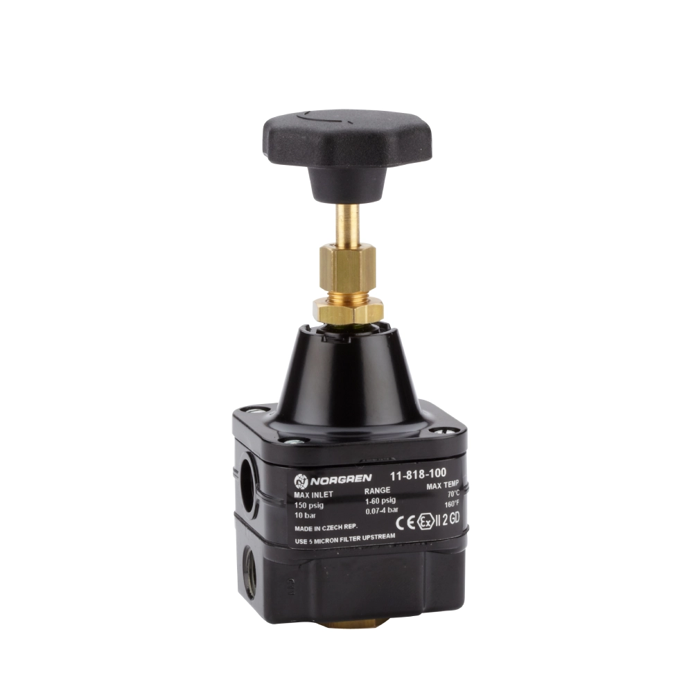 11-818-100 Pressure Regulators