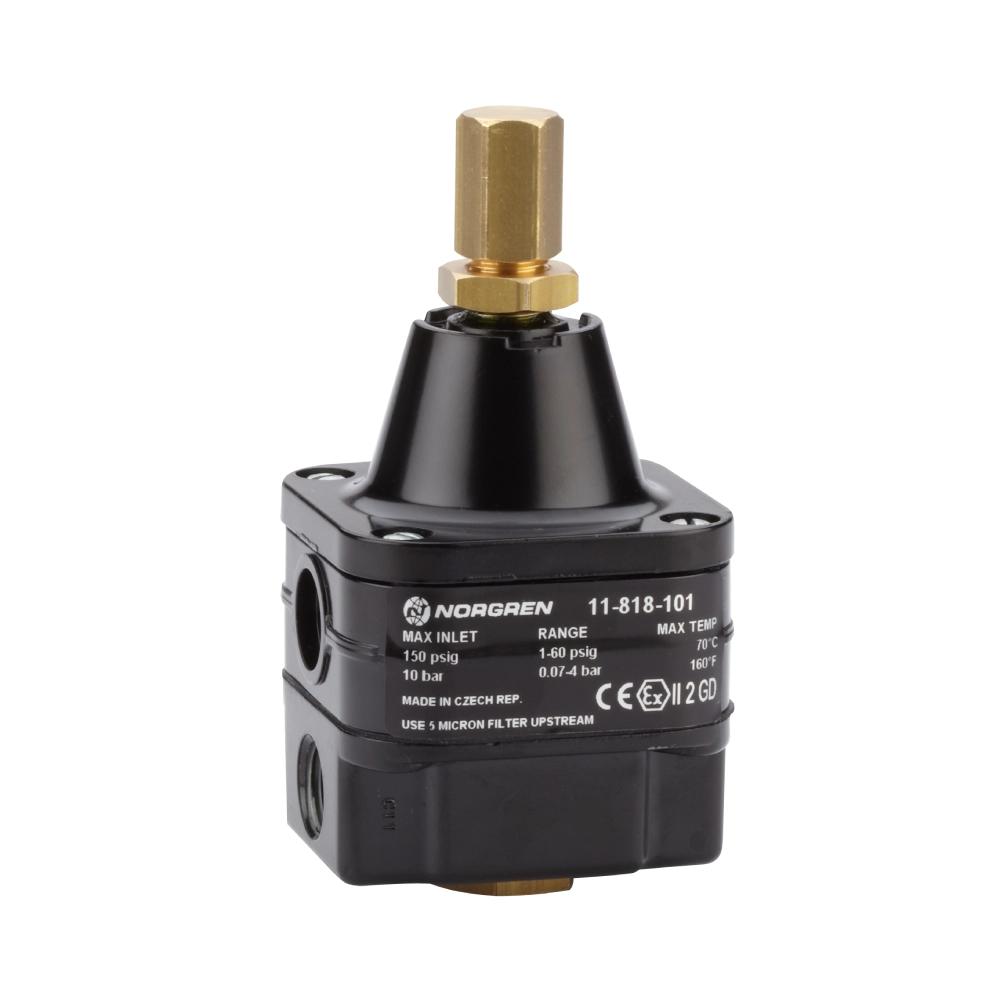 11-818-101 Pressure Regulators