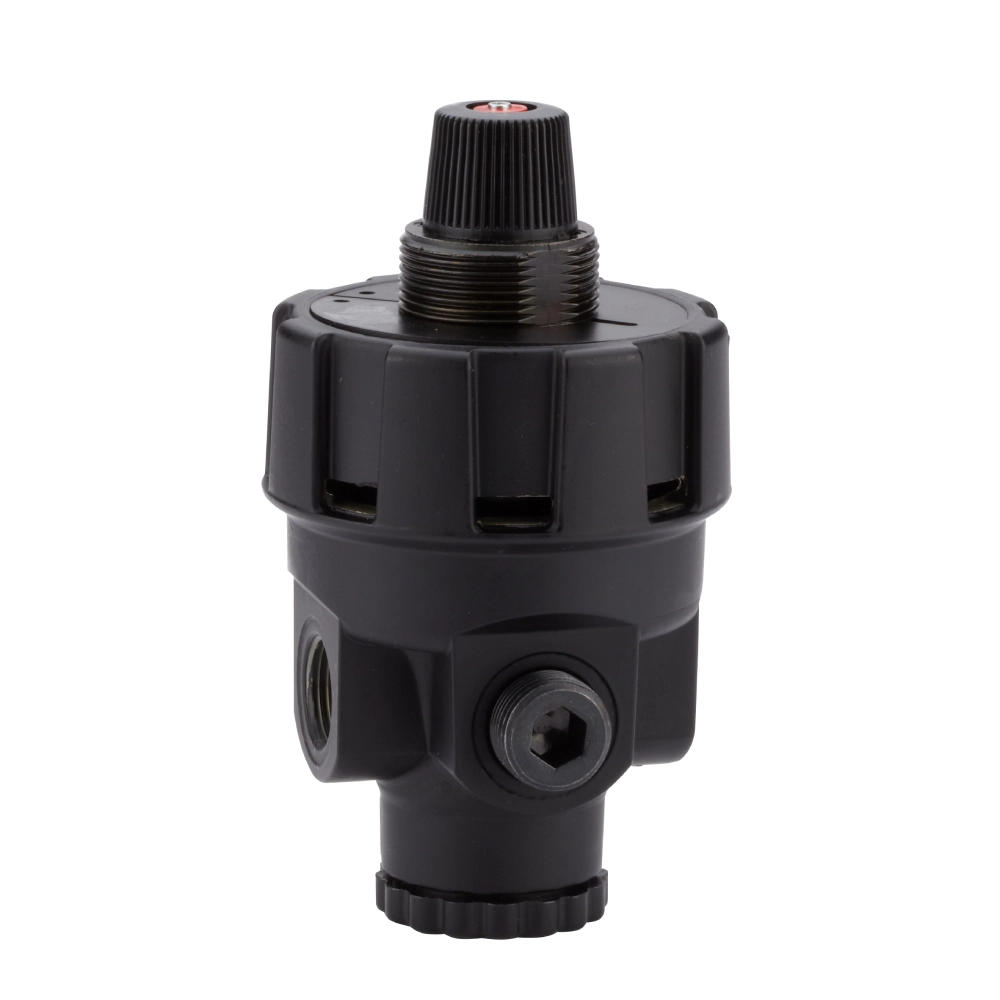 R24-300-RNLG Pressure Regulators