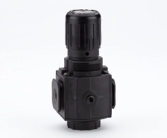R73G-3GK-RMN Pressure Regulators