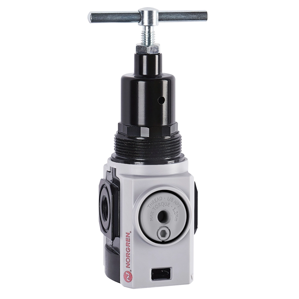 R82R-2GT-RSN Pressure Regulators
