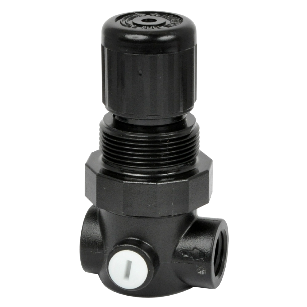 R91W-2GK-NLN Pressure Regulators