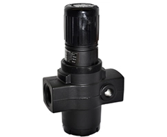 R17-800-NNLG Pressure Regulators