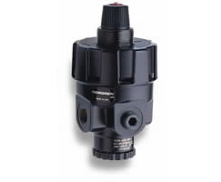 R24-200-RNSG Pressure Regulators